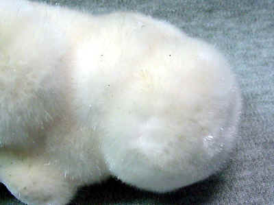 1000a.jpg (86703 bytes)