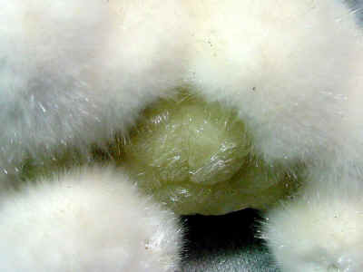 1000b.jpg (56901 bytes)