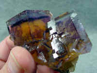 wpe156.jpg (14462 bytes)