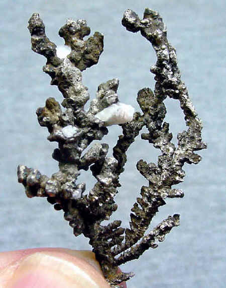 12g.jpg (41757 bytes)
